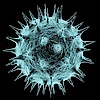 Virus Virus