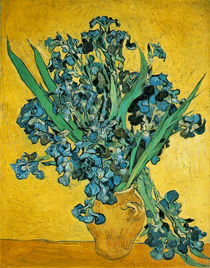 Iriser i vase
