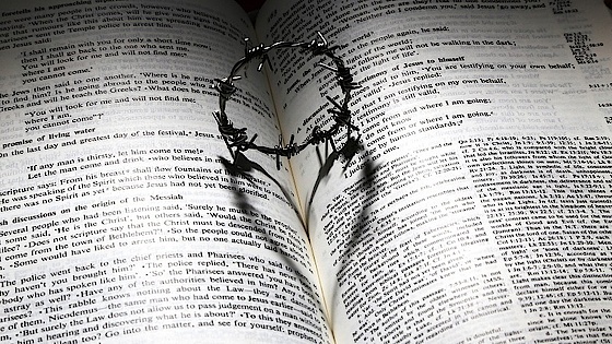 Bibel Bibel