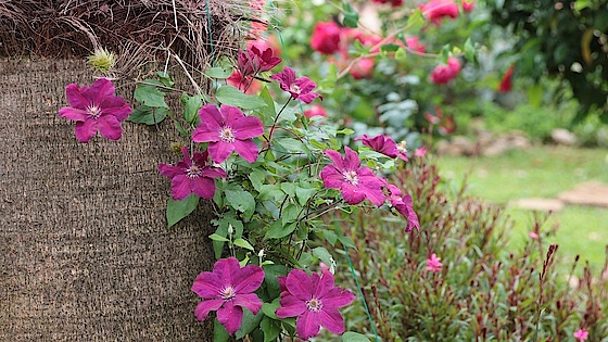 Blomster Blomster