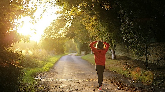Gåtur med Gud Gåtur i skoven