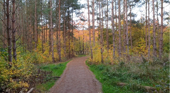 Amarminoen Amarminoen