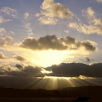 Solglimt 210 Solglimt 210