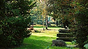 https://www.flickr.com/photos/crkistrup/45062085522