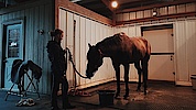 Kvinde med hest