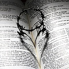Bibel Bibel